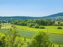 Ferienwohnung by Bob - Wiesenttal - Aussicht